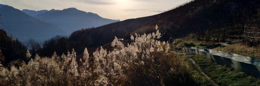 Bonne année 2021 ! … et d’autres trucs (dont une panne)…